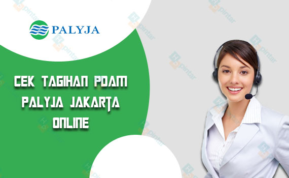PAM Palyja - Cek Tagihan Pdam Palyja Jakarta Online